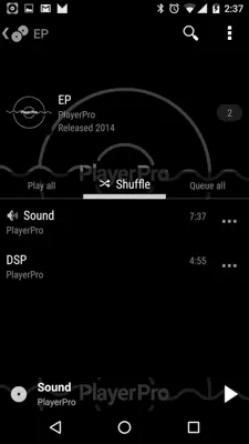 PlayerPro KK skin android App screenshot 5